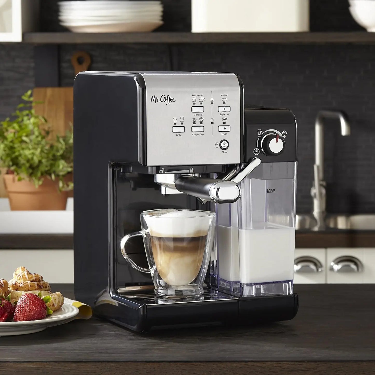 Programmable Espresso & Cappuccino Machine with Automatic Milk Frother, 19-Bar Pump, Stainless Steel